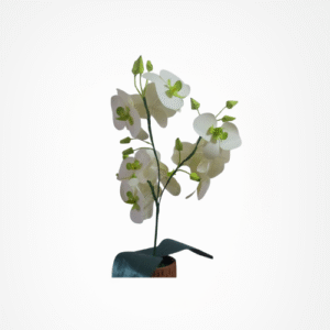 pre order 3 5 hari | anggrek putih kertas handmad, sudah lengkap dengan pot